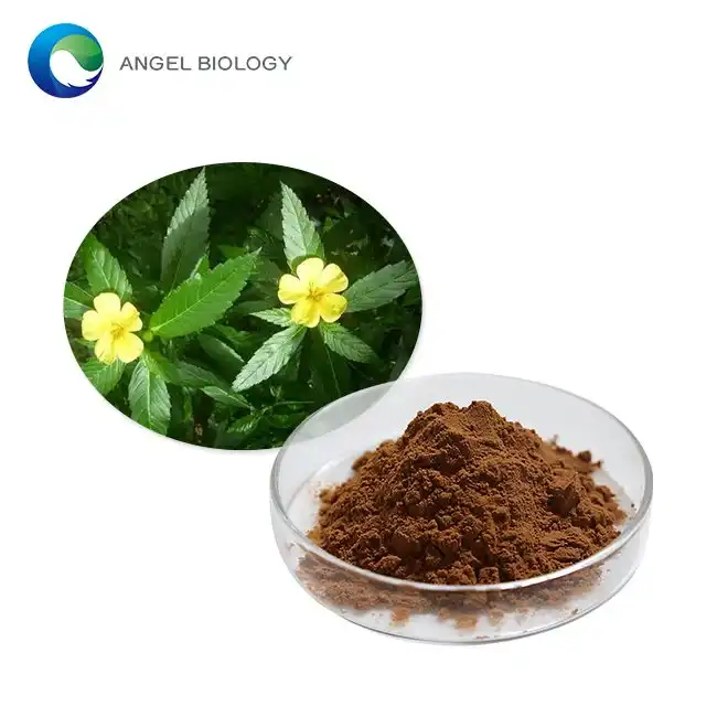 Top 5 Benefits of Damiana Leaf Extract Powder: Boost Libido and Enhance Mood Naturally